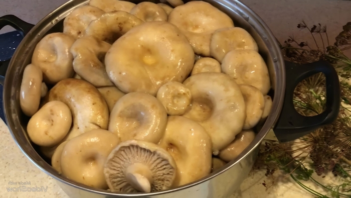 Грузди соленые