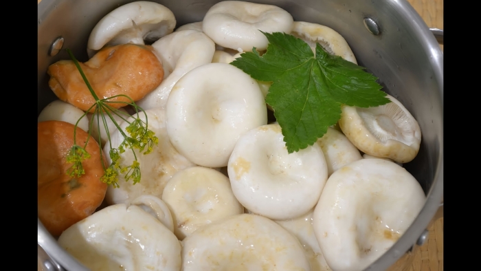 Солёные грузди