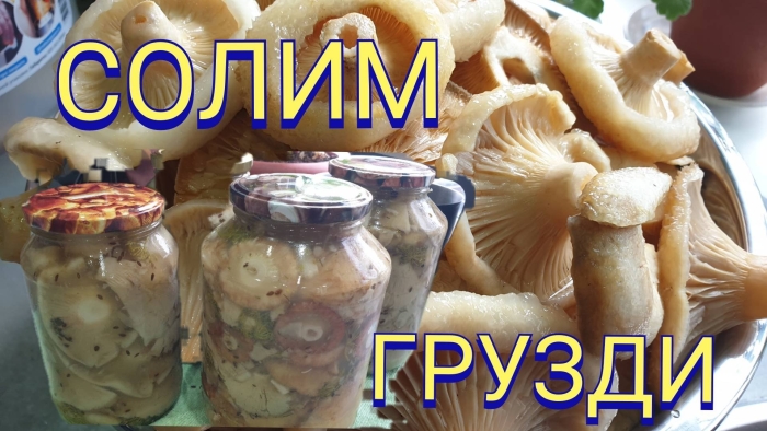 Грузди соленые 3л