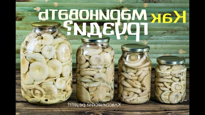 Грибы грузди соленые на зиму