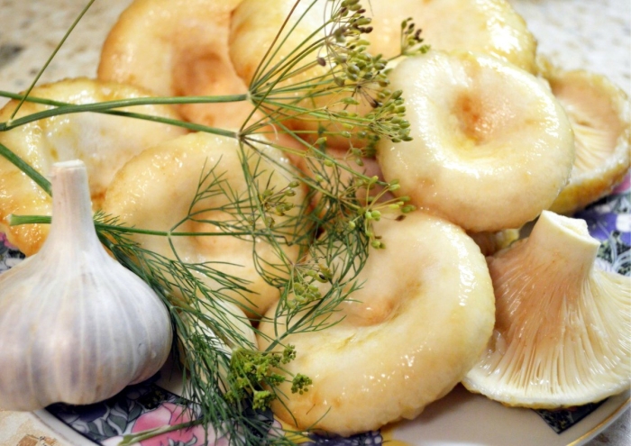 Соленые грузди