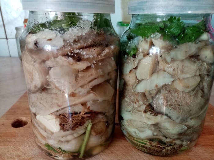 Засолка грибов на зиму горячим способом