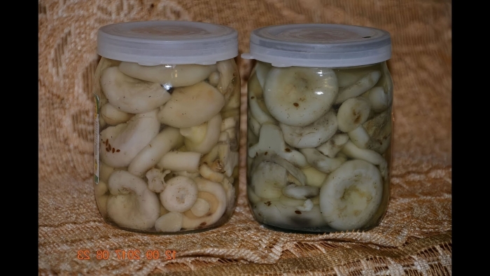 Белые грузди в банках