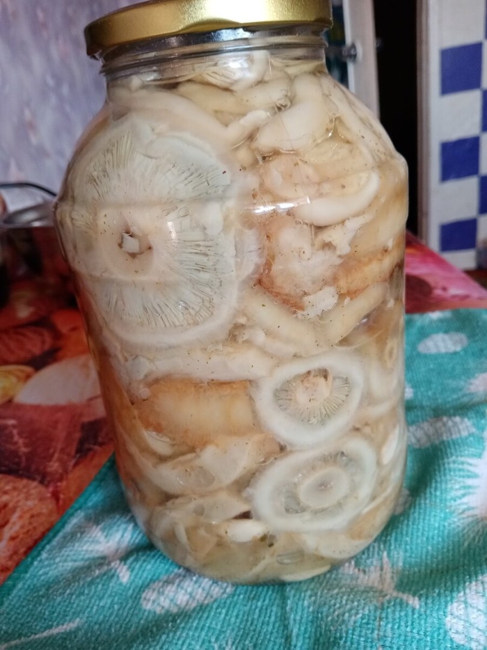 Грузди белые соленые