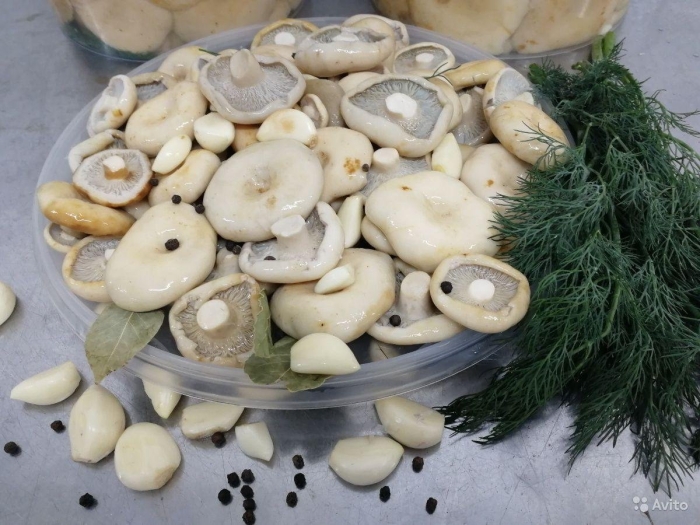 Грибы грузди соленые