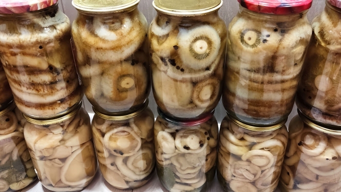 Маринованные грузди