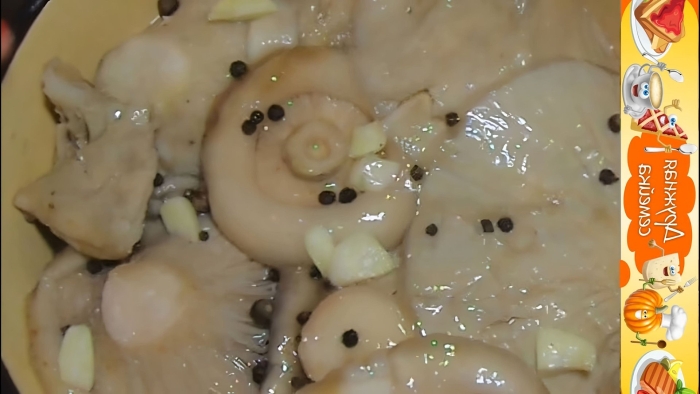 Соленые грузди без рассола