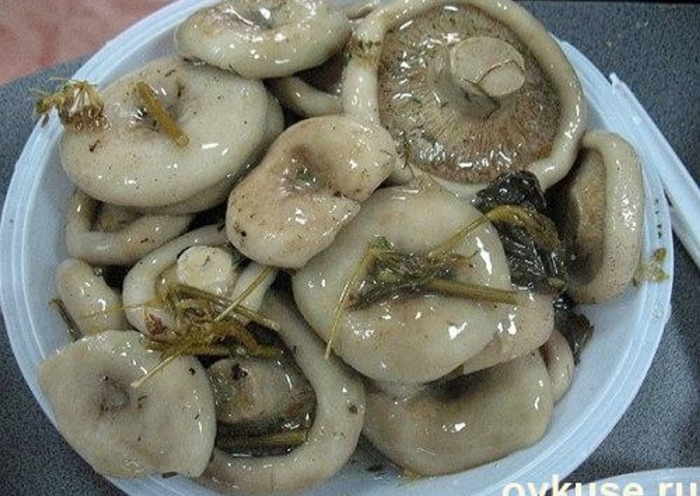 Грузди белые соленые