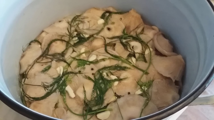 Грузди соленые