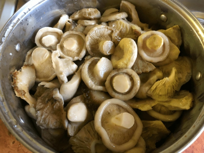 Грузди соленые горячим способом