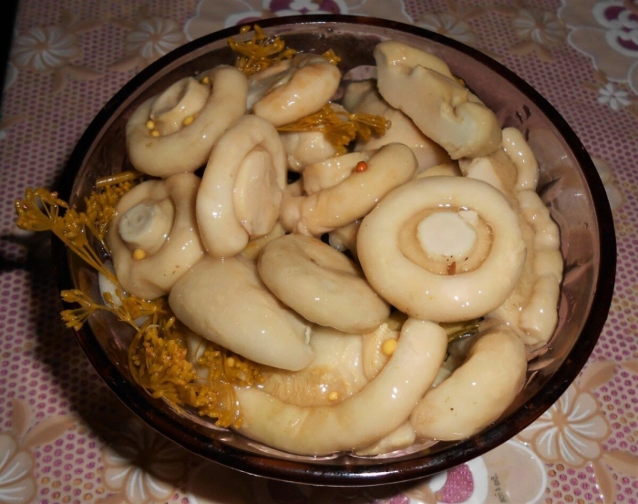 Волнушки грузди соленые