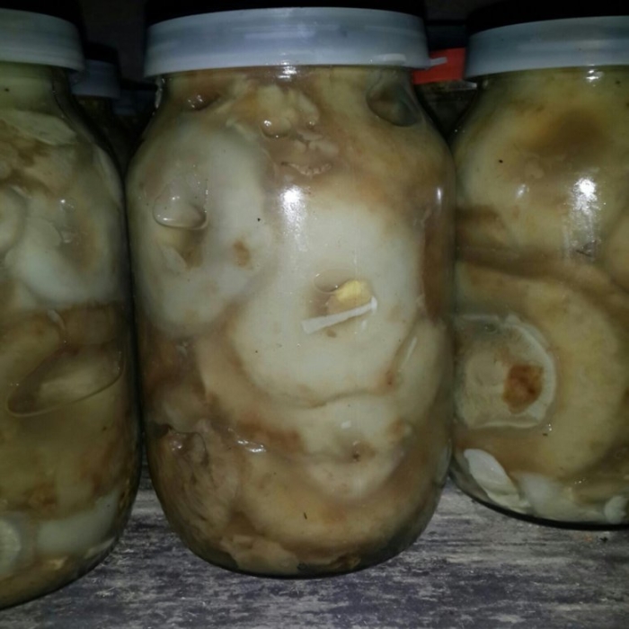 Сыросоленые грузди