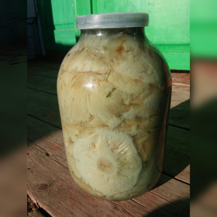 Грузди в 3 литровых банках