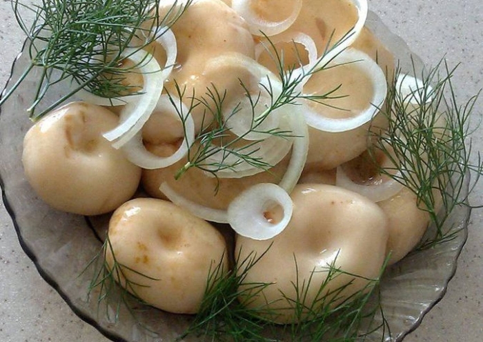 Грибы грузди соленые