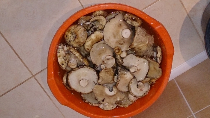 Грузди белые соленые