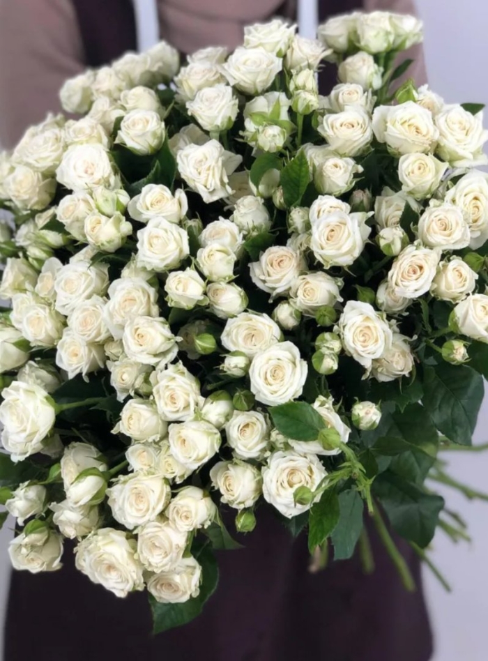 Кустовая роза белая