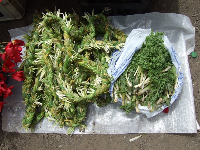 Сибех армянская трава