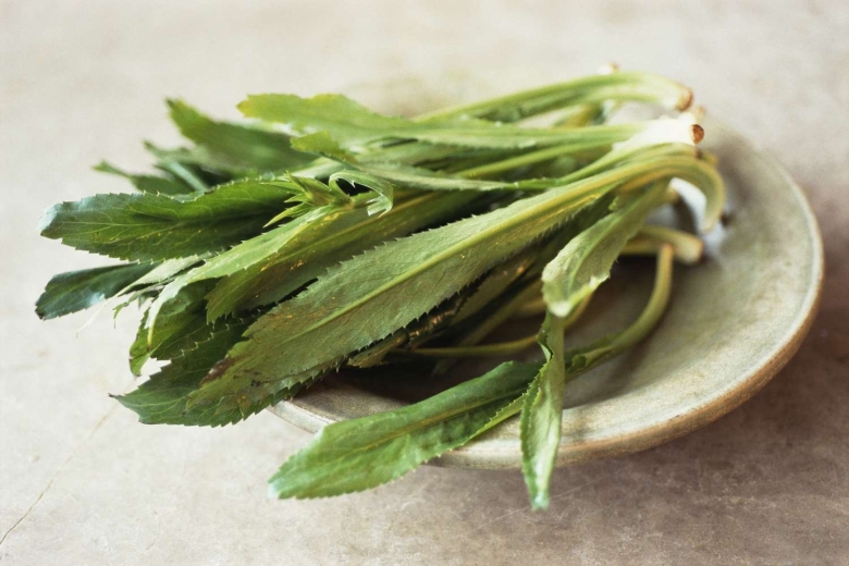 Зелень сибех армянская