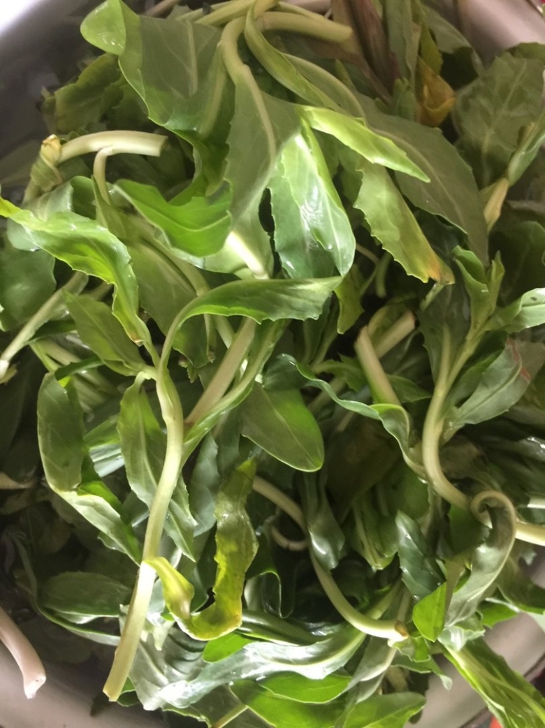 Хандзил армянская трава