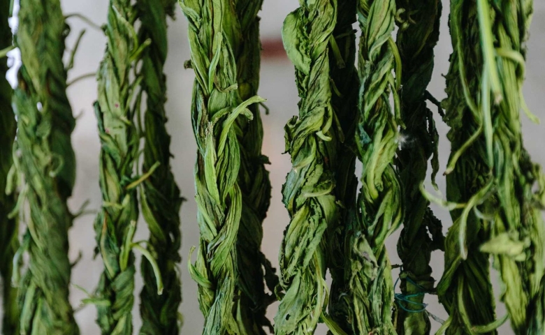 Конский щавель авелук