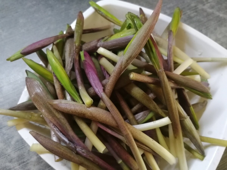 Купена Синдрик на армянском