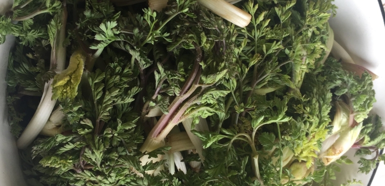 Армянская трава