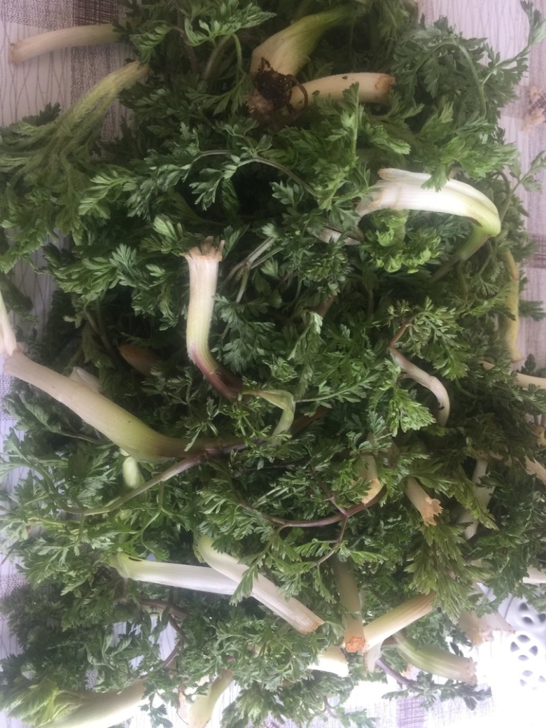 Съедобная трава