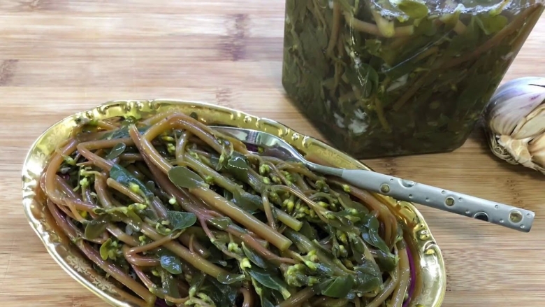 Дандур армянская трава