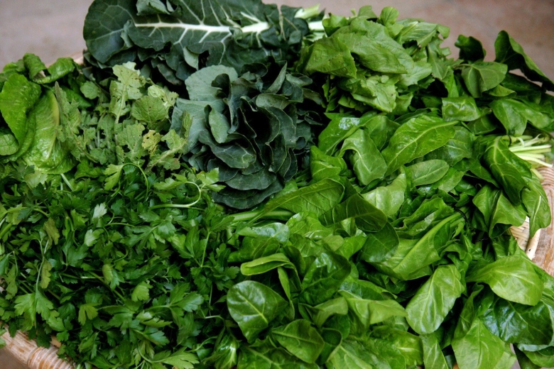 Трава для Жингялов хац