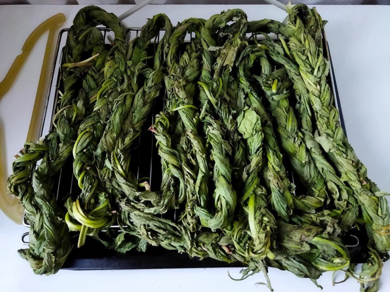 Конский щавель авелук