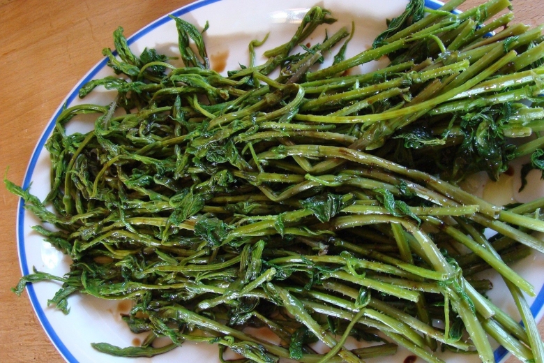 Сибех армянская трава