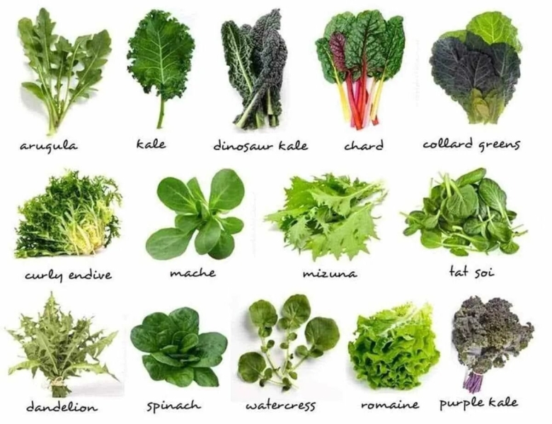 Зелень и листовые овощи