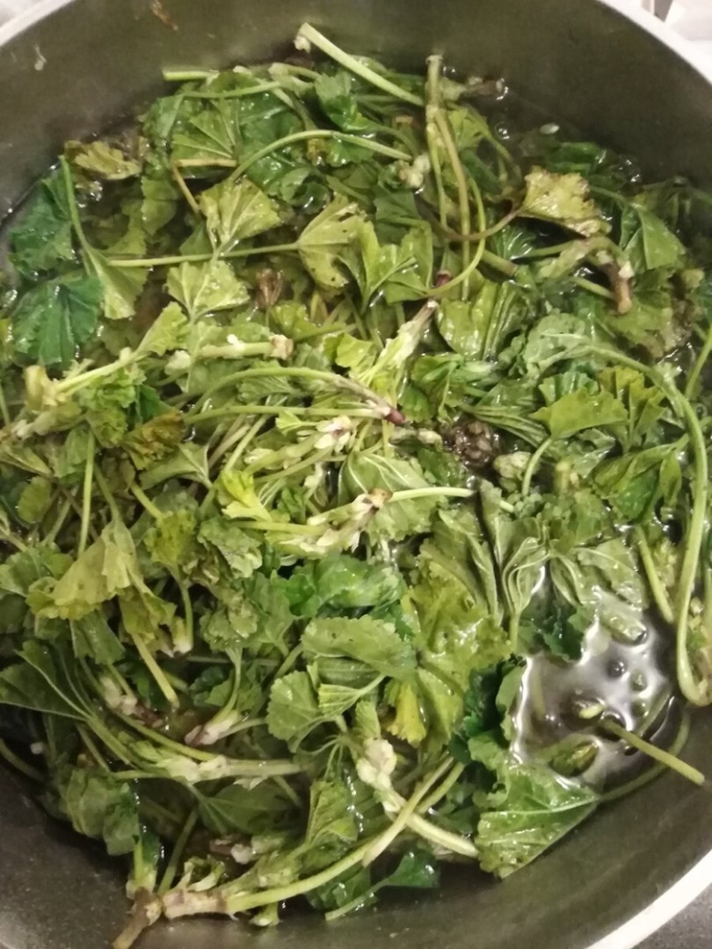 Пиперт армянская трава