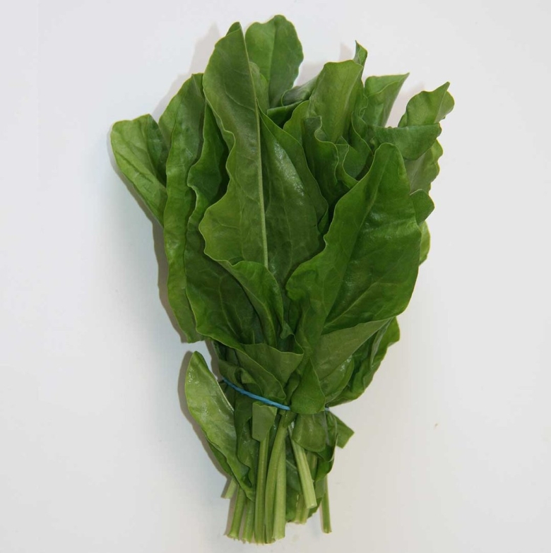 Щавель изумрудный Король