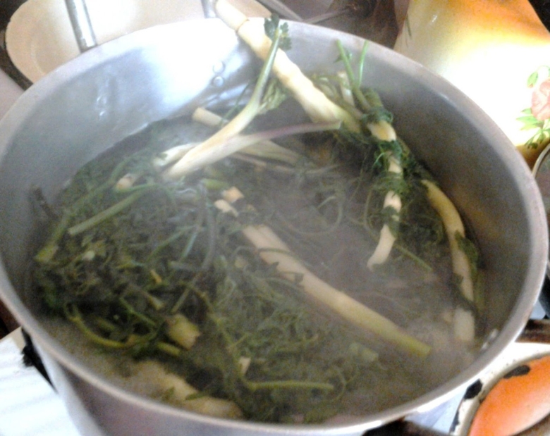 Шушан сибех