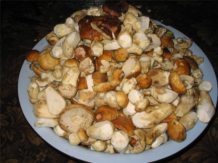 Грибы рецепты