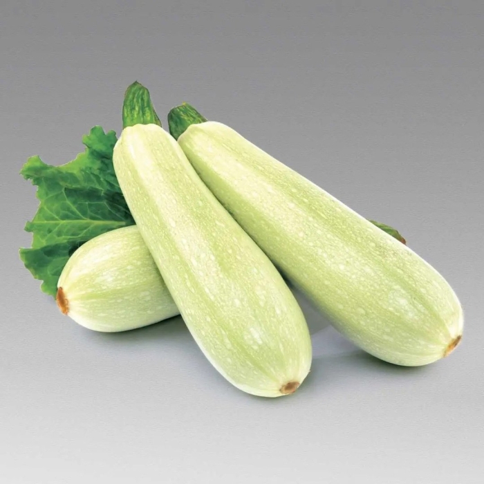 Кабачок цуккини искандер f1