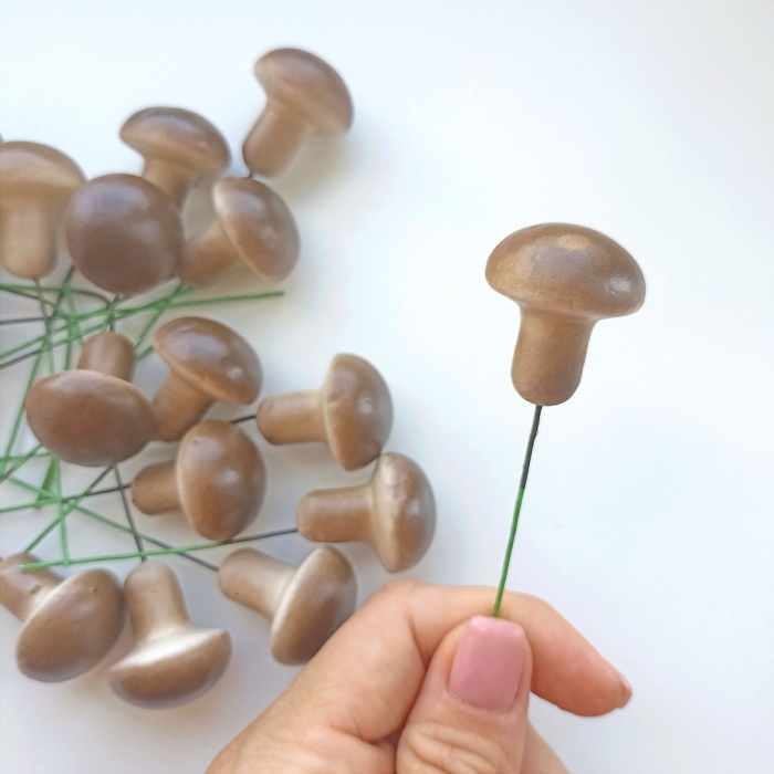 Набор муляжей грибов