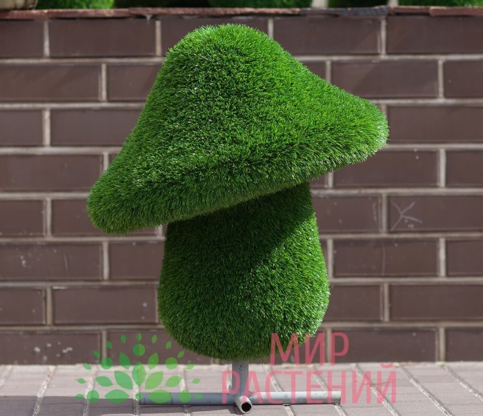 Топиари гриб