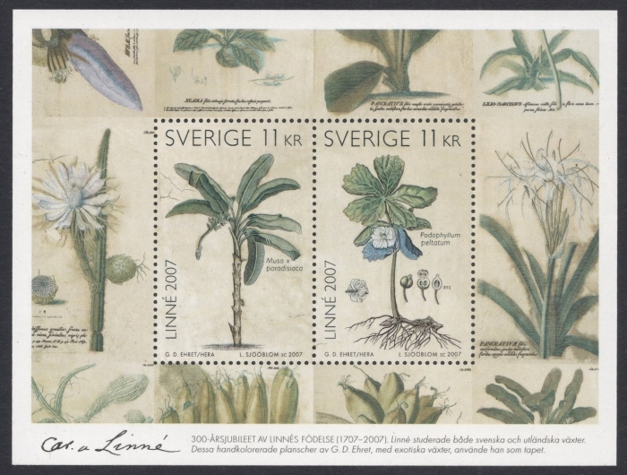 Коллекция карла линнея