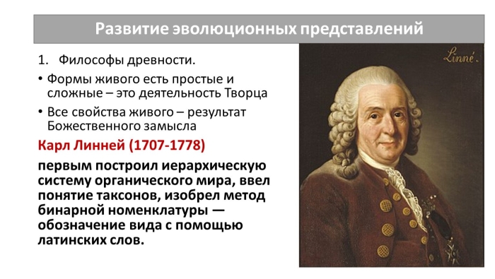 История развития представлений об эволюции