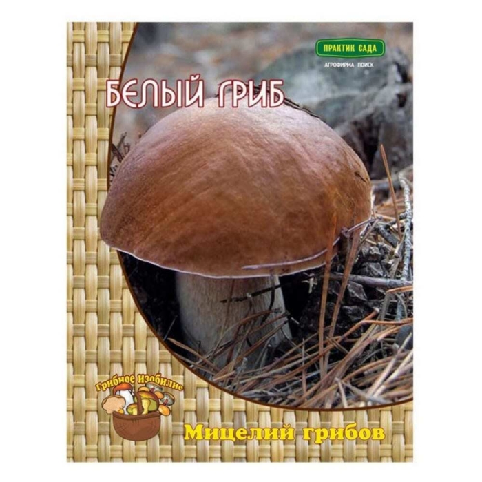 Грибы белый гриб