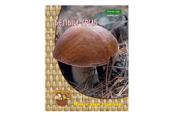 Мицелий грибов белый гриб
