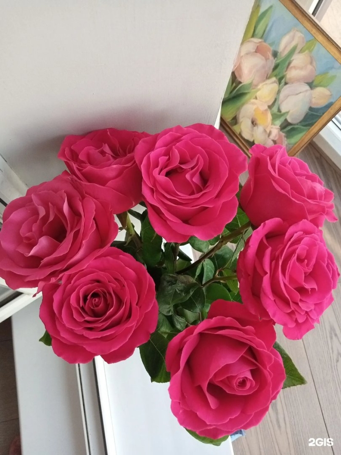 Роза пинк флойд