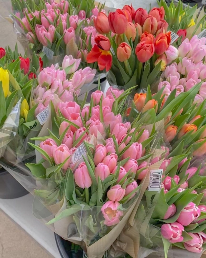 Букет цветов тюльпанов