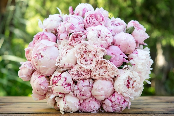 Розовидные пионы