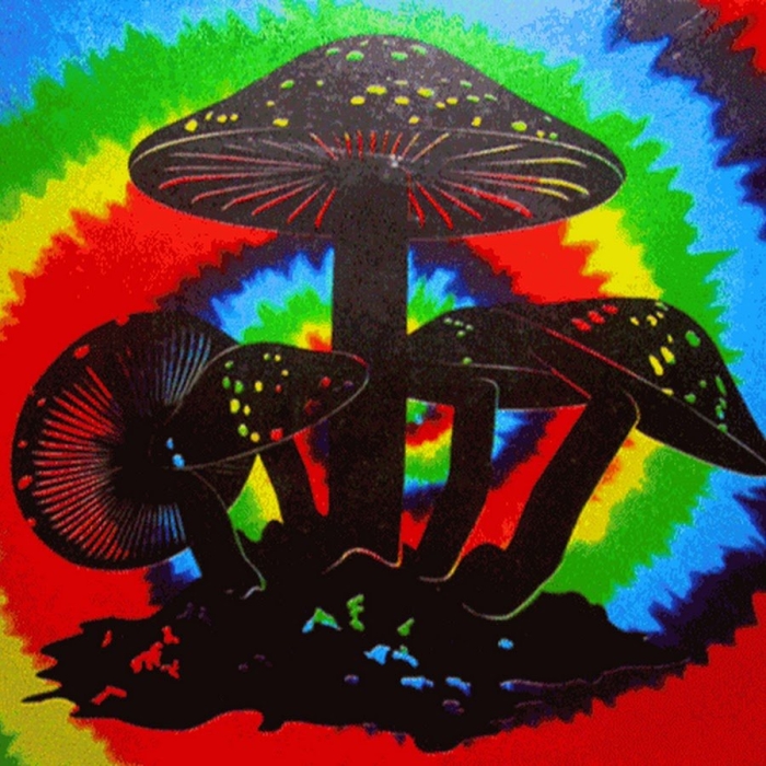 Хиппи грибы психоделики