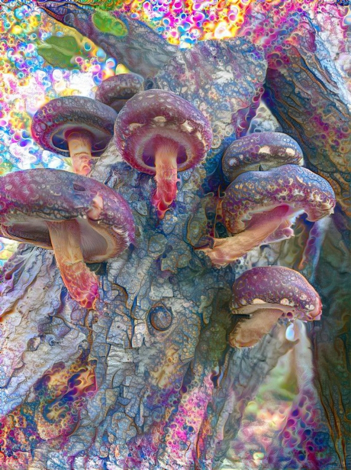 Грибы психоделики