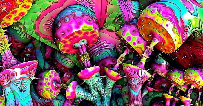 Псилоцибин трип