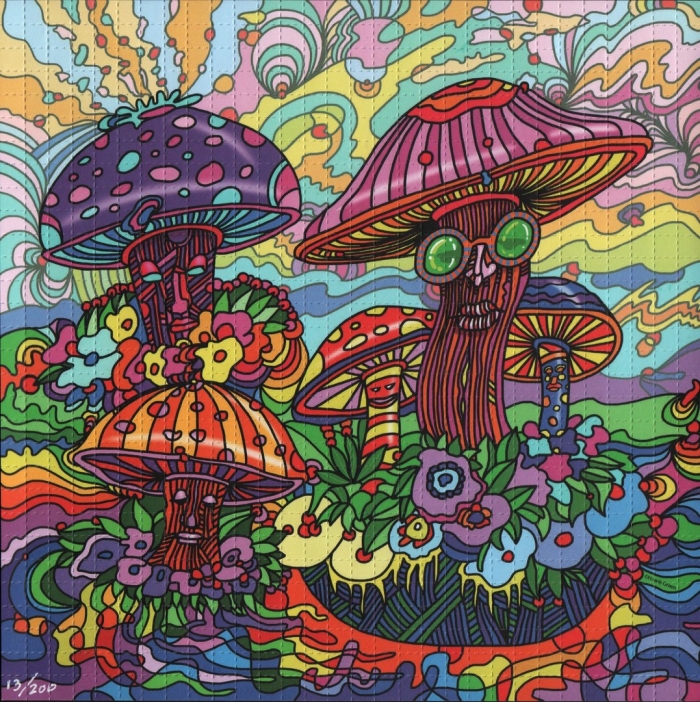 Псилоцибиновый гриб психоделика